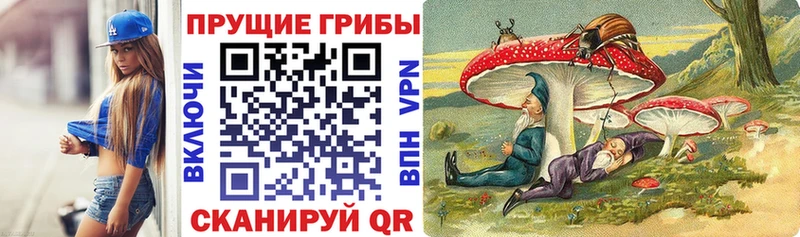 закладки  MEGA вход  Псилоцибиновые грибы Psilocybine cubensis  Лыткарино 